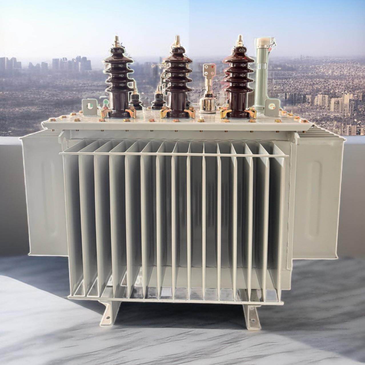 S20-M-315KVA(10KV)全铜国网双负油浸式变压器油变重庆四川