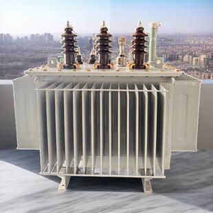 全铜国网双负油浸式 S20 10KV 315KVA 变压器油变重庆四川
