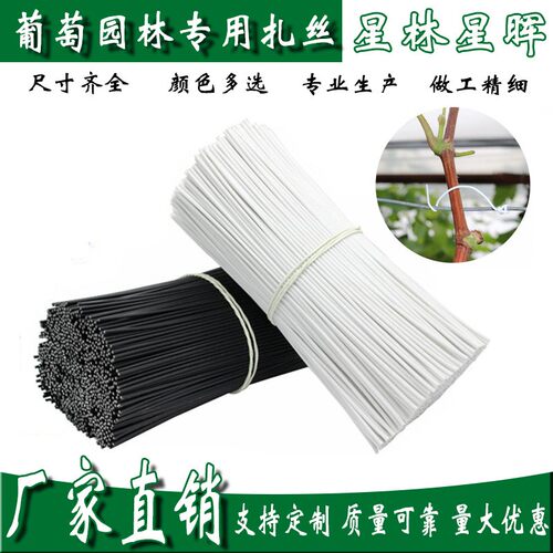 葡萄扎丝绑丝 葡萄绑枝扎丝 0.7圆/扁 1万根 2件包邮绑葡萄火龙果