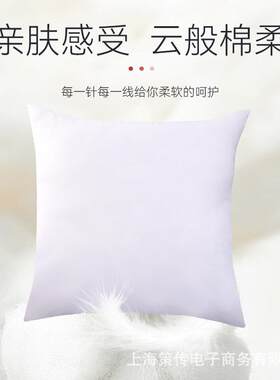 新款直销抱枕芯内胆靠垫抱枕套4040枕芯4545高回弹羽丝棉靠背5060