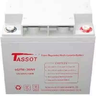 TASSOT泰斯特蓄电池6GFM100-12V65AH24A38A200AH12EPSUPS应急电瓶