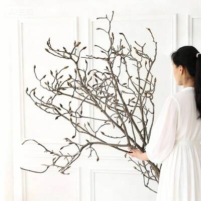 玉兰花枝干插花干花中式日式干枝高端天然干树枝家居民宿枯枝装饰