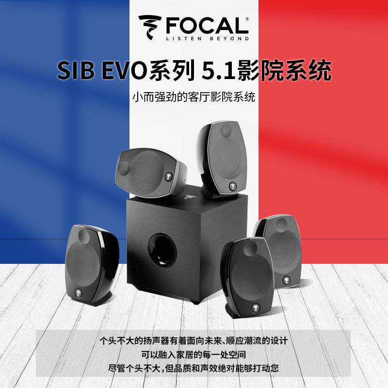 法国劲浪Focal SIB EVO5.1 环绕家庭影院卫星音箱