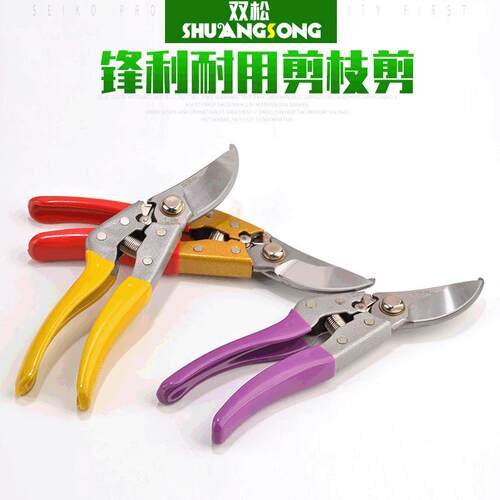 修花修枝 园林园艺剪刀 SK-5粗枝剪 精品果枝剪厂家直销