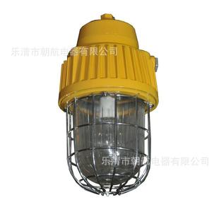 矿用投光灯 DGS70 矿用隔爆型泛光灯 矿用巷道灯BLD110. 127B