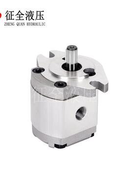 征全HGP-1A-F2R增压泵小型齿轮泵液压齿轮油泵自动机械高压油泵