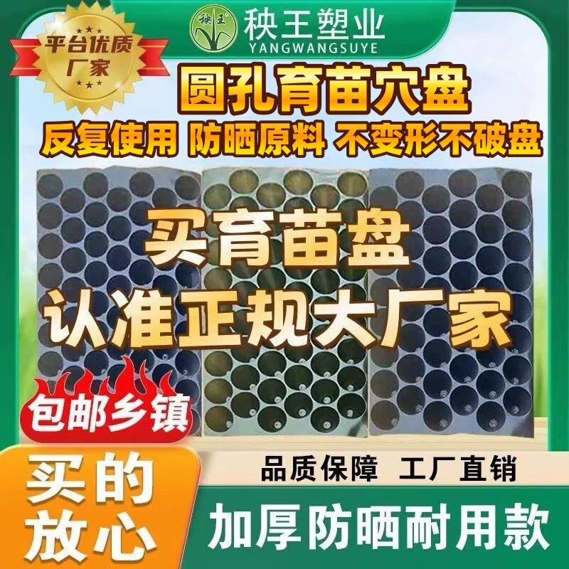 秧王整箱加厚圆孔育苗盘玉米蔬菜瓜果育苗辣椒哈密瓜托盘抛秧盘苗