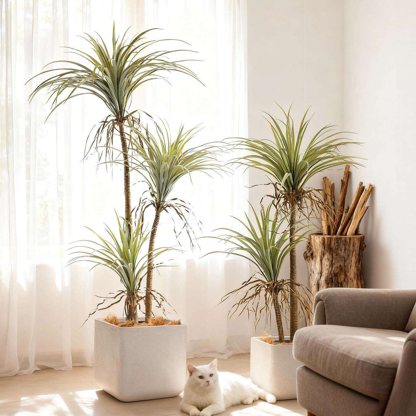 仿真植物小丝兰树北欧风家居软装商场开业装饰高端绿植盆栽假树