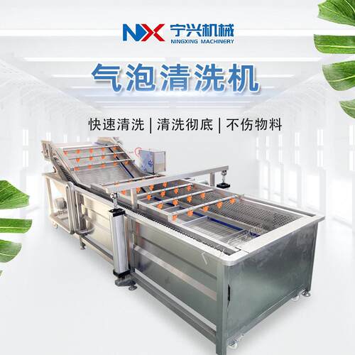 宁兴蕨菜清洗设备 全自动材白芍清洗机 大型金银花气泡清洗机