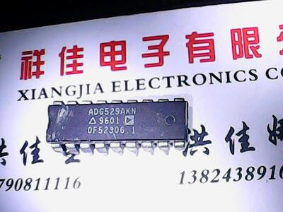 ADG529AKN DG529CJ 进口货质量保证