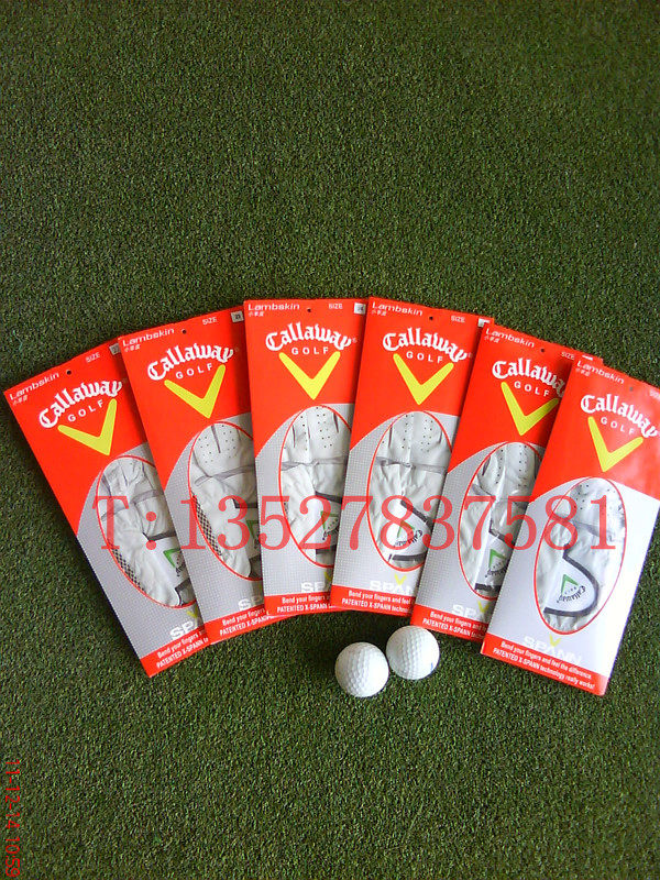 Sac de golf - Ref 41040 Image 20