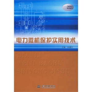 电力微机保护实用技术 (电力新技术实用丛书)