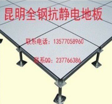 特价全钢防静电地板机房架空PVC600x600x35 (pvc面）