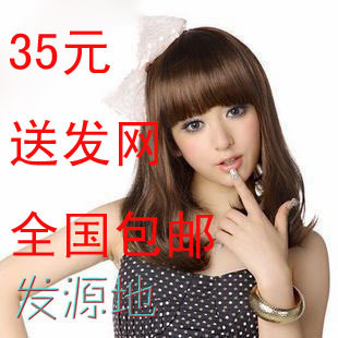 Extension cheveux - Chignon - Ref 248538 Image 107