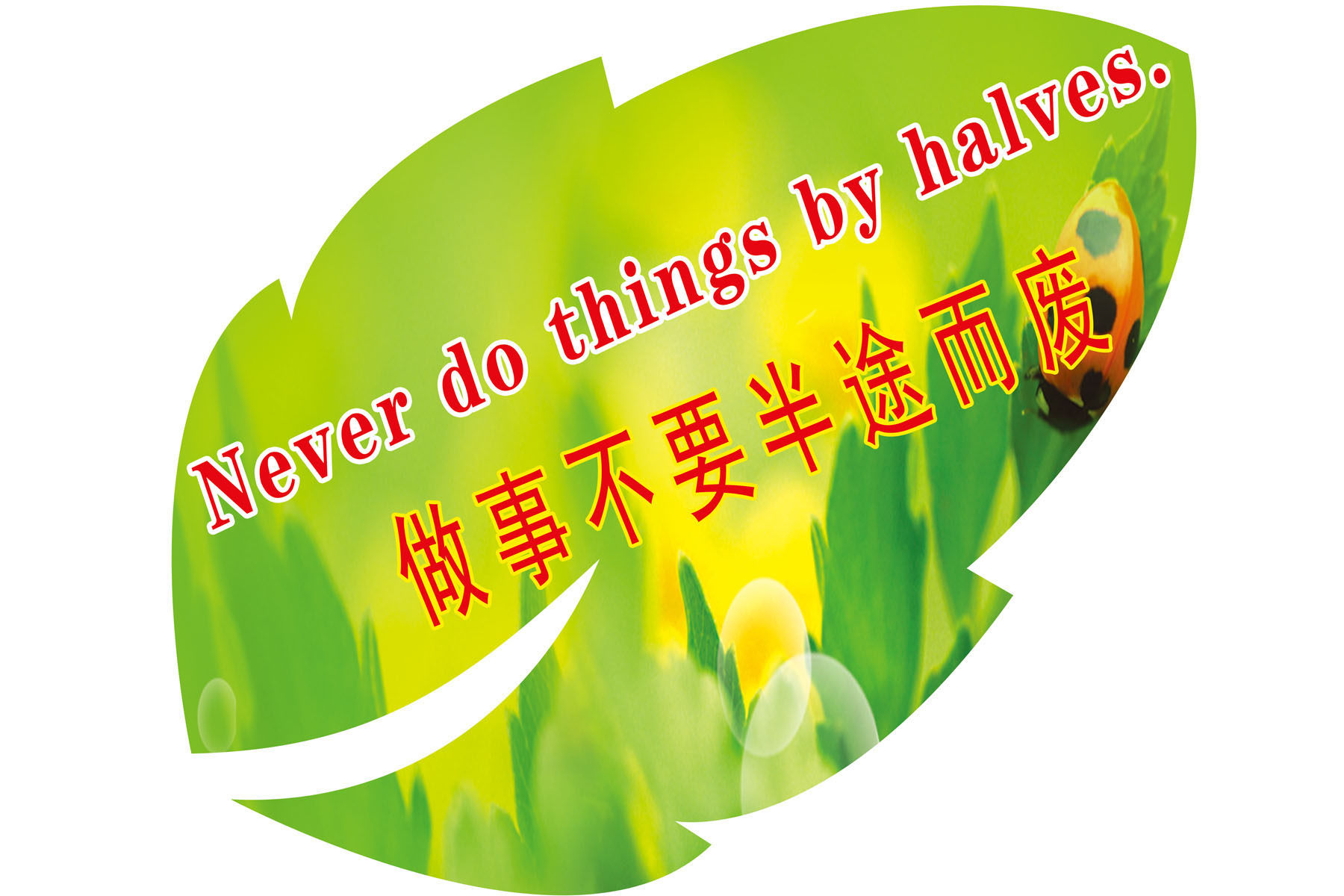 589海报印制海报展板素材519校园励志做事不能半途而废中英文标语