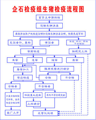 578年画海报展板素材835生猪屠宰场检疫组生猪检疫流程图