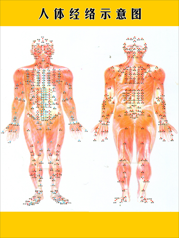 海报印制338人体海报展板158人体经络示意图 非高清图
