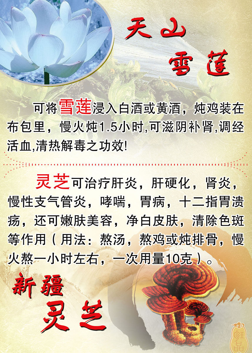 海报印制342天山雪莲功效简介绍208海报展板素材(制作)