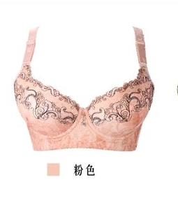 A918 清仓 专柜正品 包邮 戴芝蒂 厚模杯四排扣聚拢收副乳调整型文胸