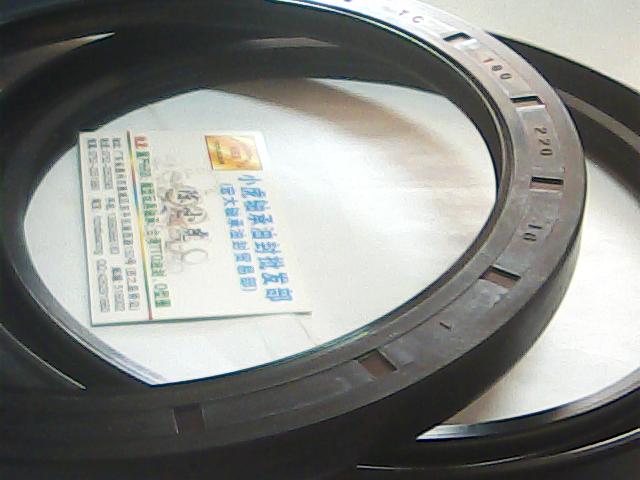 TC180*220*16XTO骨架油封