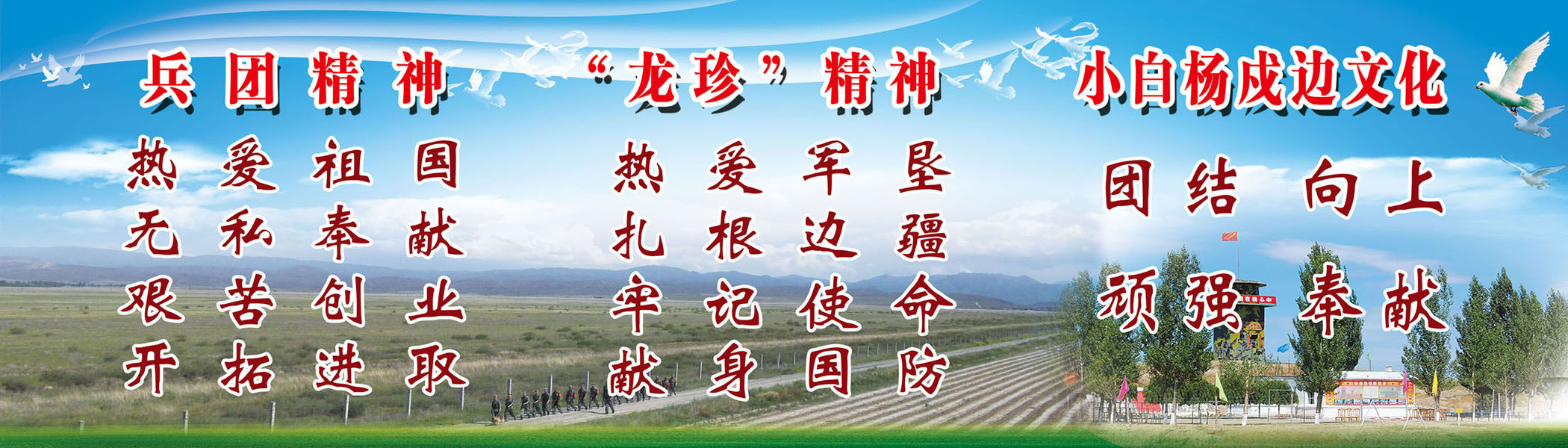 643海报印制海报展板素材214兵团精神小白杨精神宣传标语