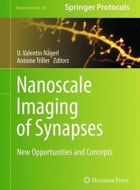 【预售】Nanoscale Imaging of Synapses: New Concepts an...