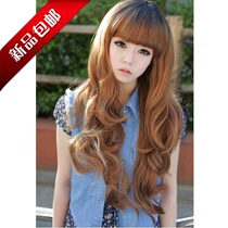 Extension cheveux - Chignon - Ref 240386 Image 34