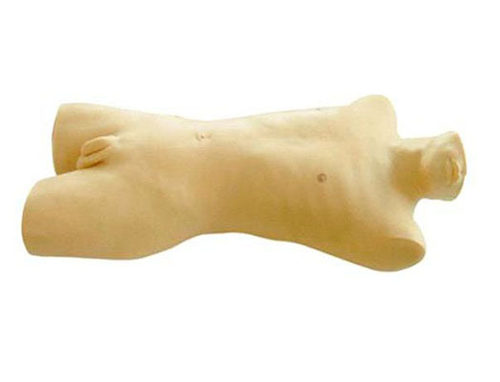 骨髓穿刺训练模型CK816