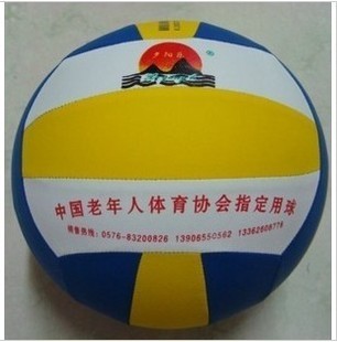 Ballon de volley-ball - Ref 2009342 Image 1