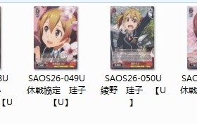 WS 黑白双翼 卡牌 刀剑神域VOL2 红色U卡