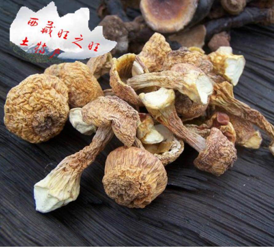 250g包邮仅售90元 西藏林芝野生姬松茸 巴西松茸 姬松茸 品质优良