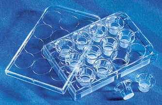 Corning 3402 Transwell板 12孔 12mm 3.0um 细胞小室 12个/板 块