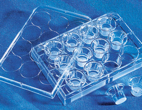 Corning 3414 Transwell板 6孔 直径：24mm 孔径：3.0um 块