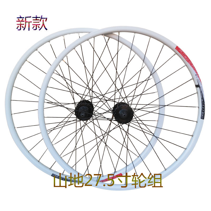 Roues de vélo Mountain Bike GIANT - Ref 2378571 Image 1