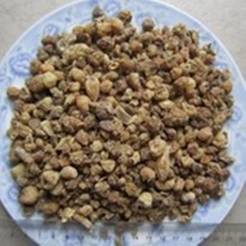 中药材 正品 山慈菇/毛慈菇/茅慈菇/冰球子/山慈姑500克包邮