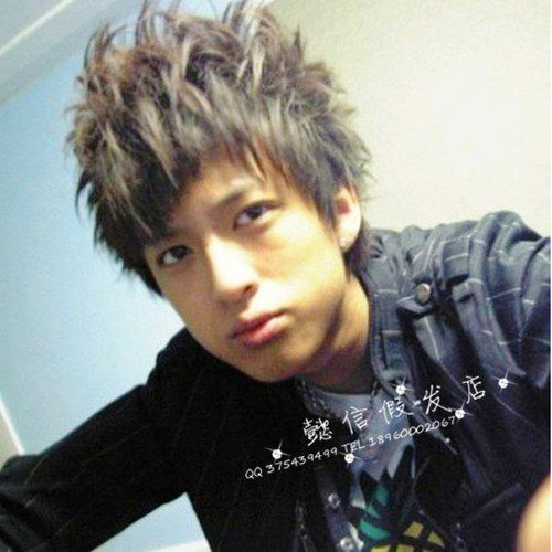 Perruque OTHER   cheveux raides Court - Ref 2609626 Image 1