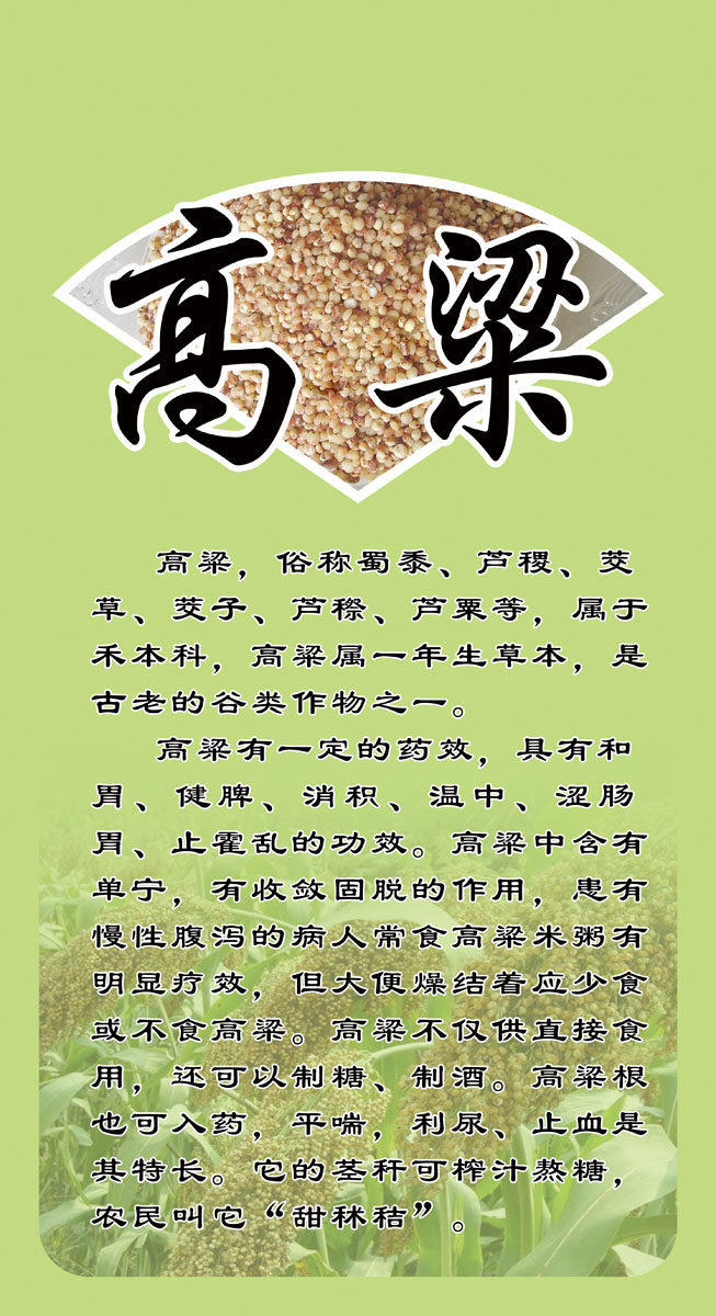 614海报印制海报展板素材979高粱介绍