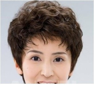 新款中年风女士妈妈包邮假发套