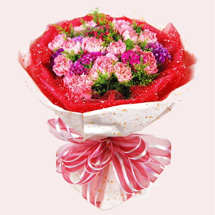 教师节康乃馨南昌鲜花速递同城送