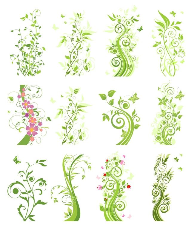 绿色藤蔓花草 12款清新植物花卉花纹花藤 ai格式矢量设计素材