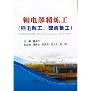 铜电解精炼工(铜电解工、硫酸盐工)程永红  2021年重印