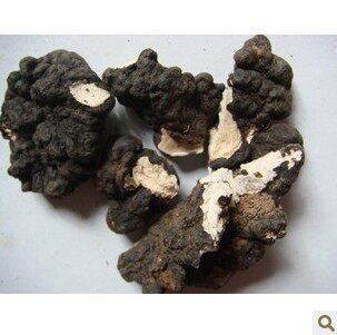 中药材  正品东北 猪苓片    纯净货 猪苓中药材 100克