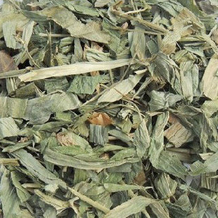 中药材野生淡竹叶 竹叶茶金竹叶茶清热500克 另有灯心草售
