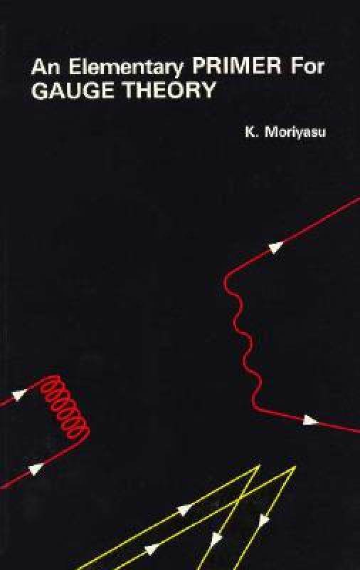 【预售】An Elementary Primer for Gauge Theory