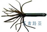 KINGLURE 王者路亚—空心管型虫系列 软饵 路亚饵 特价