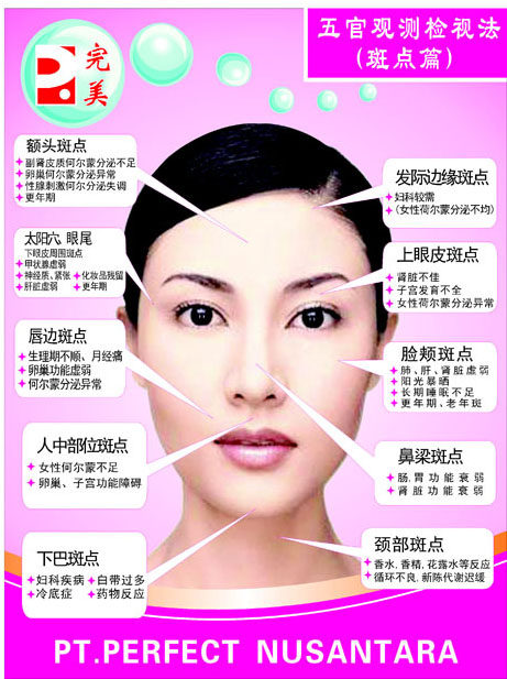 569海报印制海报展板素材226面部斑点示意图