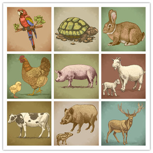 复古版 AI格式 画风格 乌龟奶牛兔子羊鹦鹉 动物图案 矢量设计素材