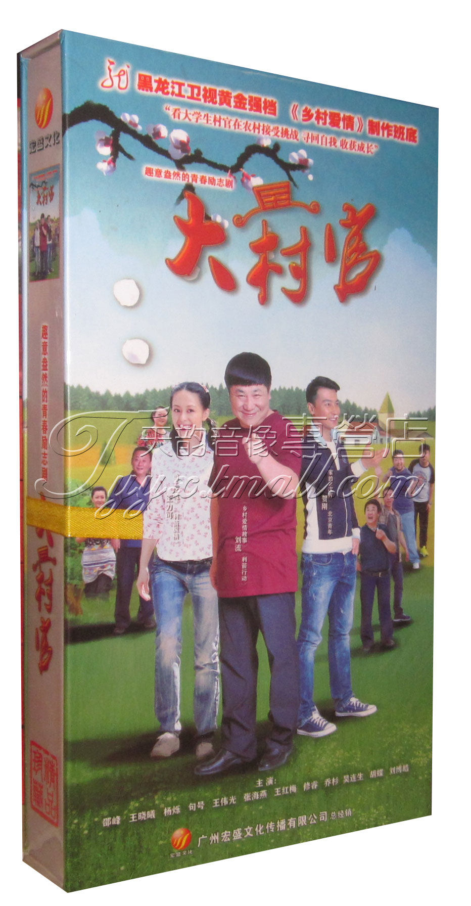 正版现货 电视剧 大村官 高清珍藏版12dvd贺刚 王力可 刘流