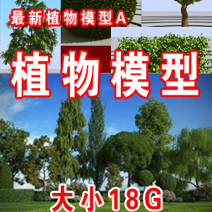 最新植物3D模型 针叶树 阔叶树 灌木 棕榈树 单体植物模型18G