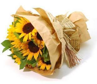 寧波鮮花速遞sunflower/向日葵/寧波送花祝福花探望束